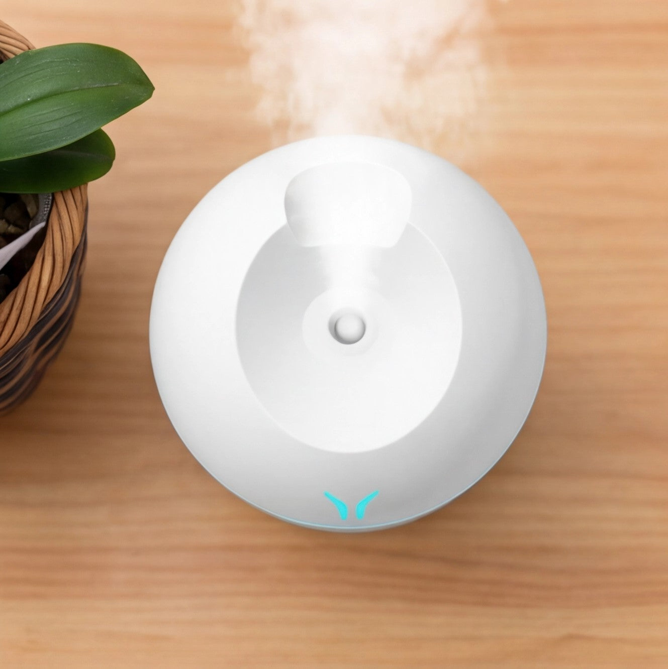Eway USB air humidifier with scent diffuser showing compact design and water tank for humidifying and aromatherapy.